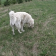 N�lap bez vod�tka