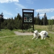 U Saf�rov�ho potoka