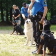 Na cvi��ku