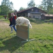 P�ek�ka s vod�tkem