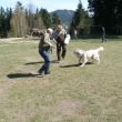 03.Zah�n�n� p�ed z�krokem