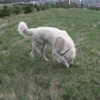 Lom bez vod�tka