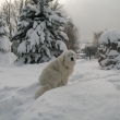 Ve sn�hu